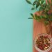 Top view of peppers, spices, and green leaves on a wooden board with teal background, offering copy space.